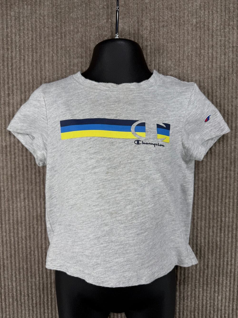Champion Baby Boys Gray Short Sleeve Stripe Logo Tee 18M